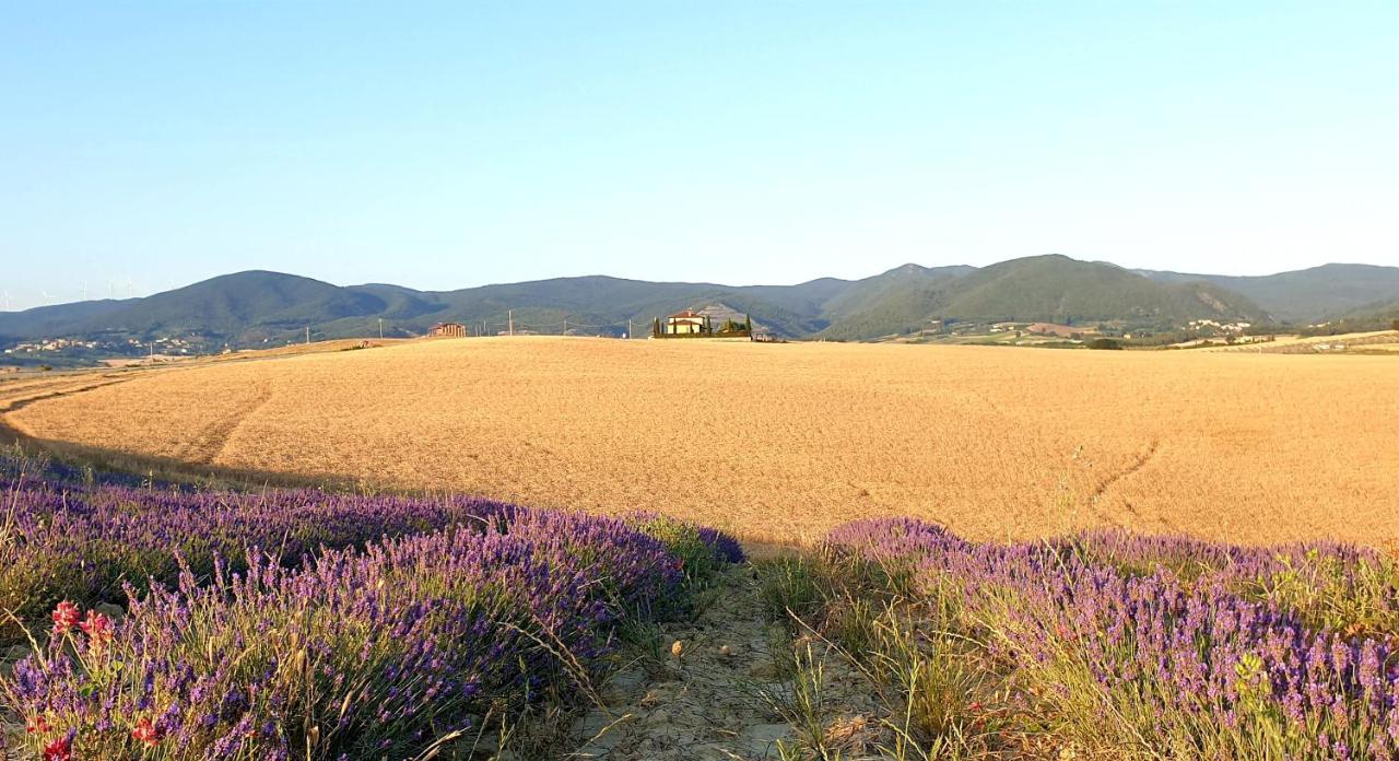Agriturismo L'impero Santa Luce Exterior foto
