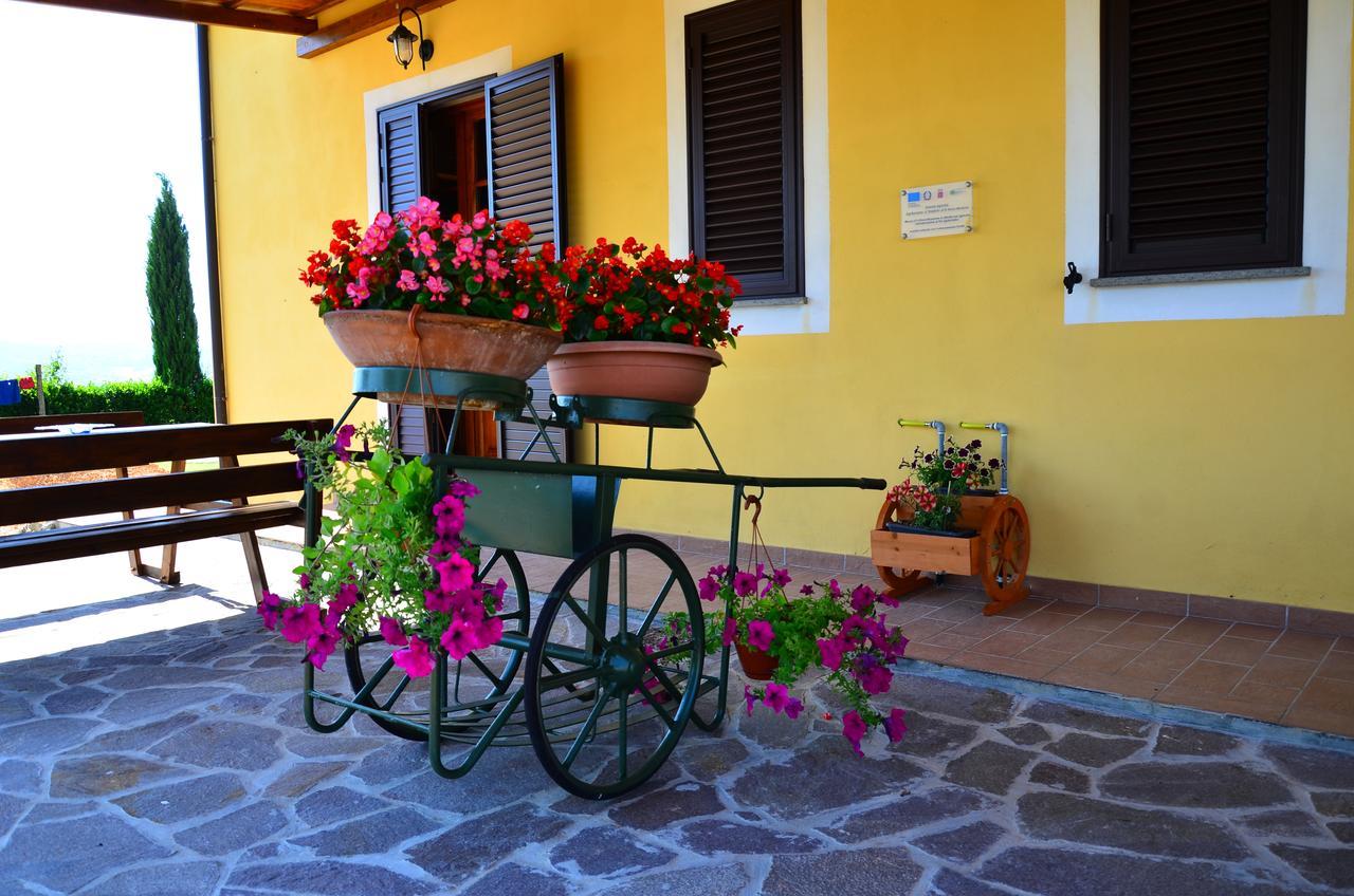 Agriturismo L'impero Santa Luce Exterior foto